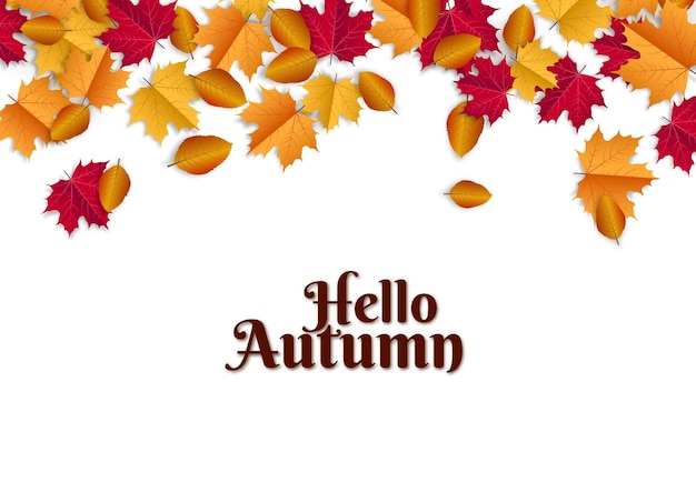 Hello Autumn illustration with scattered leaves on white background