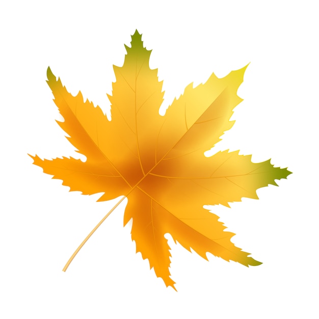 Premium Vector | Hello autumn leaf