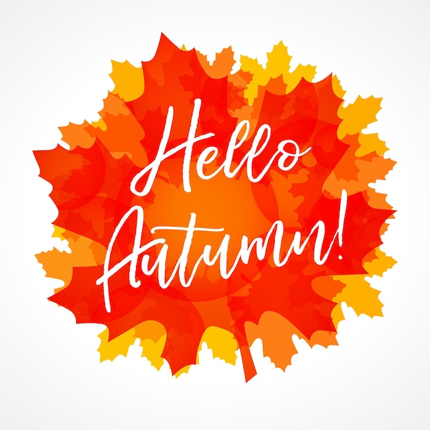 Hello Autumn sign. Creative icon. Back to school congrats. Calligraphic text and maple leaves.