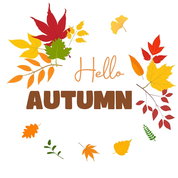 Hello autumn vector Autumn design template for decoration sale banner advertisement card panel