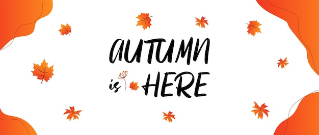 Hello Autumn Vector иллюстрация с фразой, украшенной красивыми листьями на белом фоне