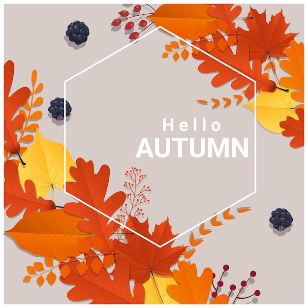 Hello autumn with colorful leaves and fruits background