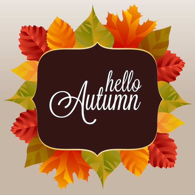 Hello autumn with different colored leaves