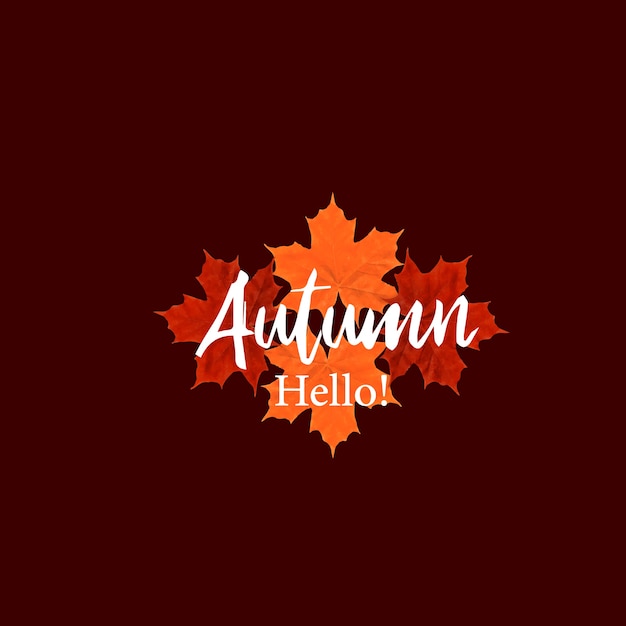 Hello! autumns designs