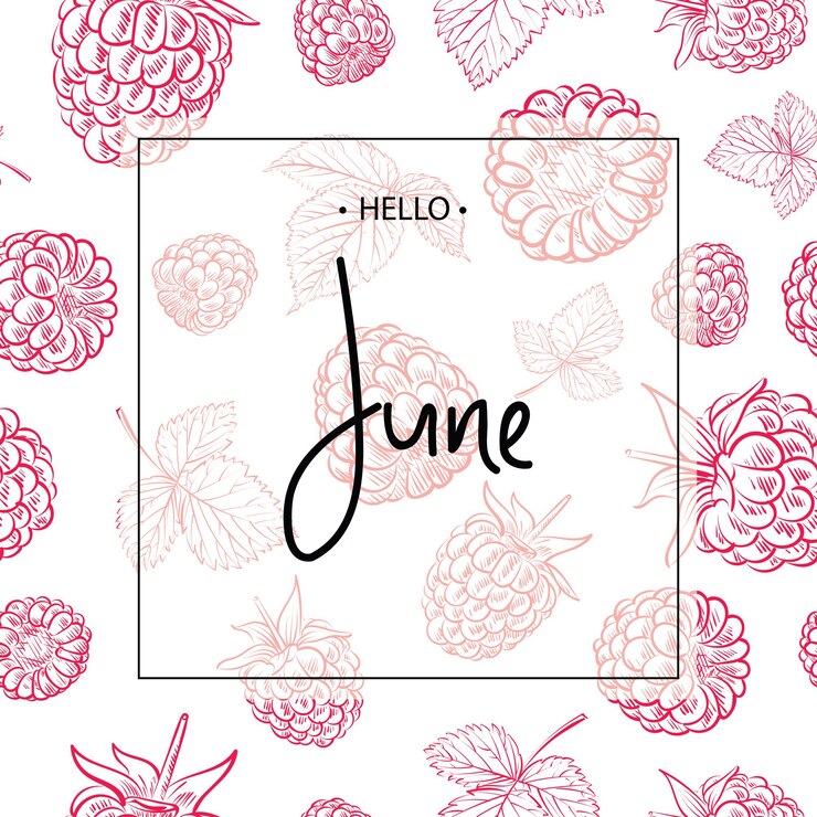 Vector hello june lettering print with raspberries