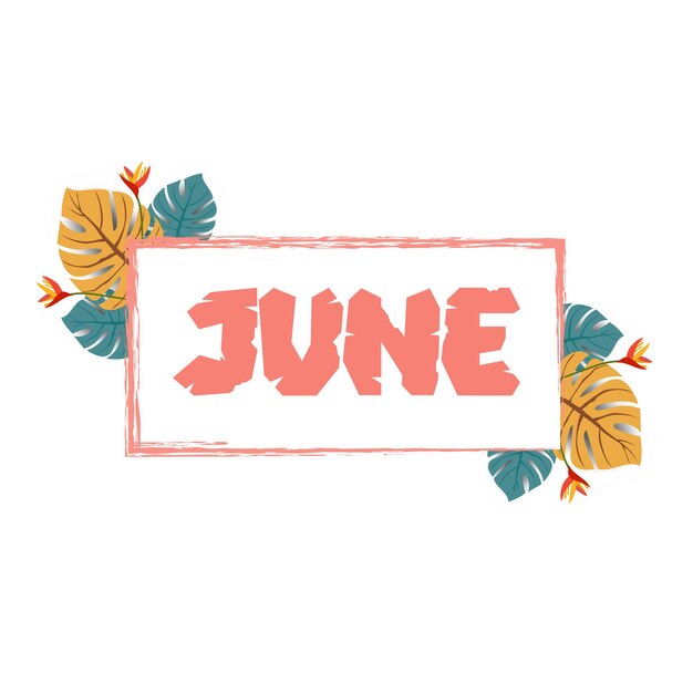 Hello June Welcome June June with summer vibes vector