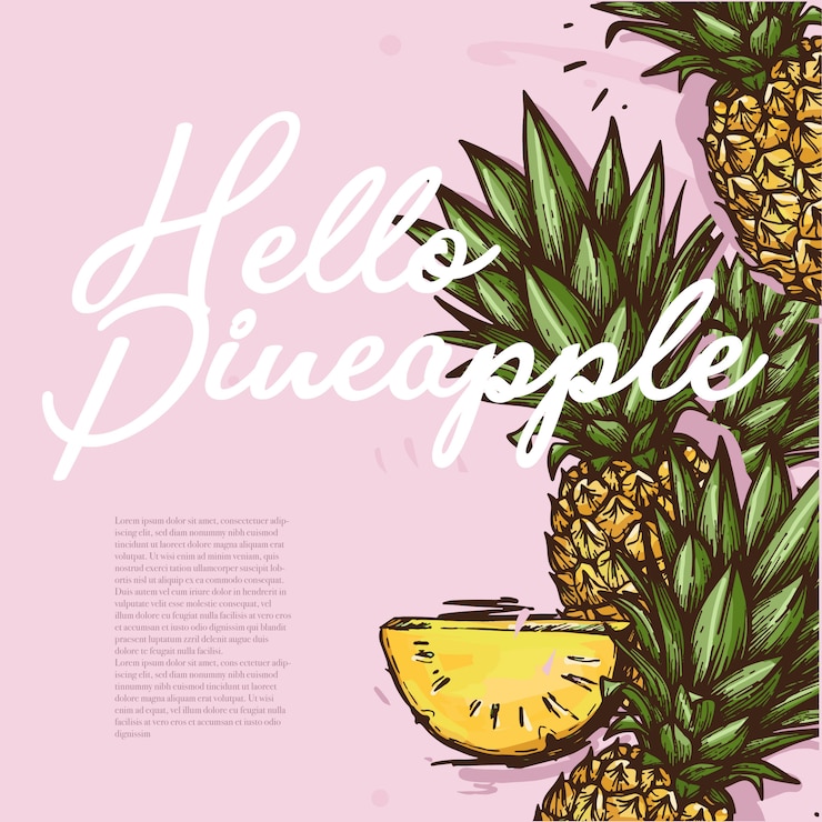 Vector hello pineapple illustration summer theme