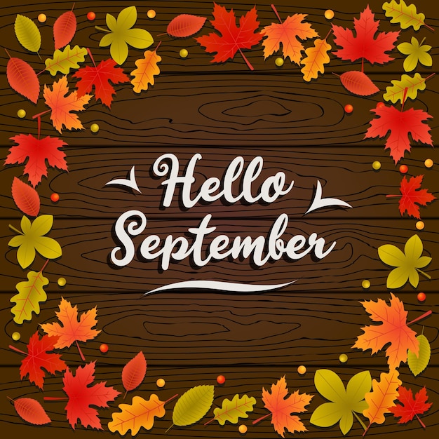 Vector hello september autumn background with fallen leaves on wood floor illustration