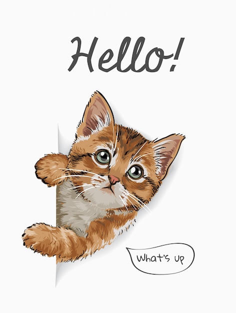 Vector hello slogan with cute cat coming out of paper illustration