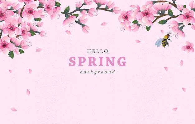 Vector hello spring background with cheery blossom flowers