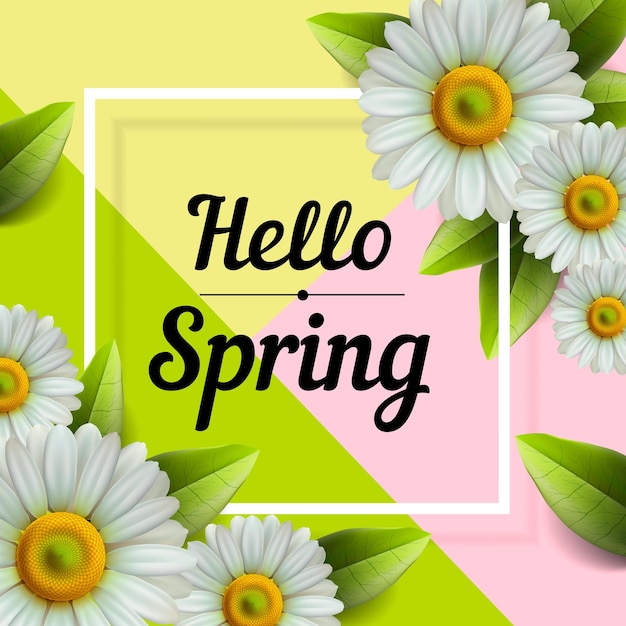 Hello spring background with flowers vector illustration