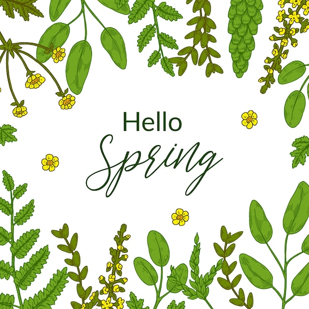 Hello spring banner with green floral elements hand drawn vector illustration