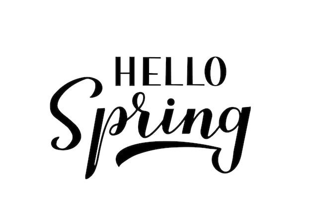 Hello spring 서예 문자는 흰색에 격리되어 있습니다. 영감을 주는 계절 인용 타이포그래피 포스터 필기 로고 디자인 배너 전단지 스티커 티셔츠 등을 위한 벡터 템플릿을 쉽게 편집할 수 있습니다.