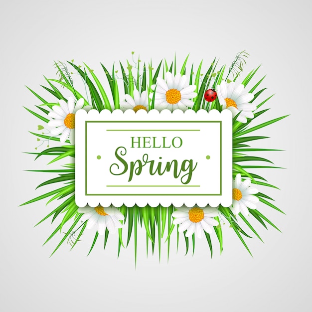 Hello spring card with grass frame