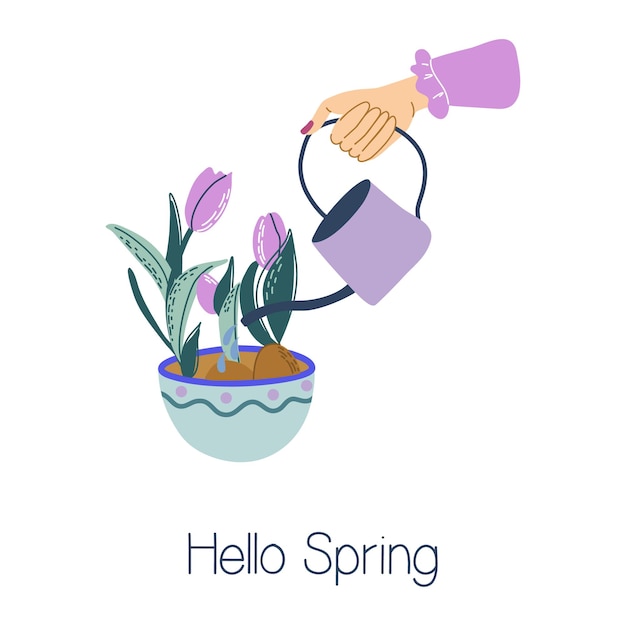 Hello spring card. Woman is watering flowers with watering can. Lovely Spring layout with flowers