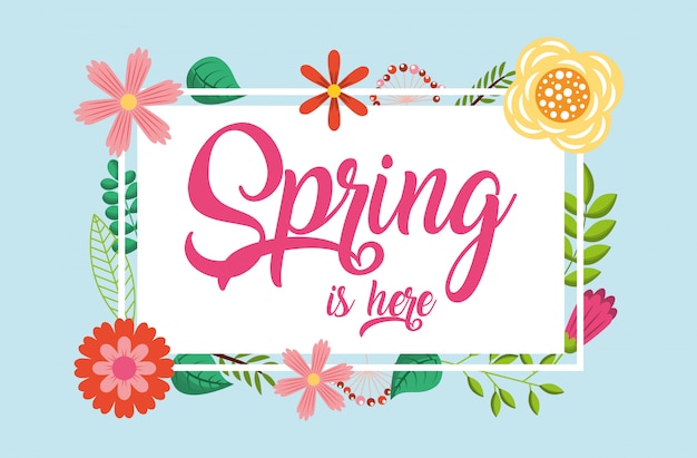 hello spring card