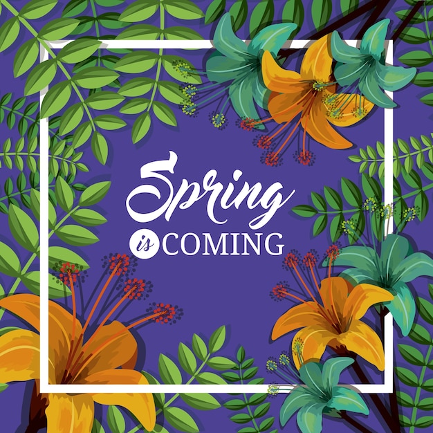 Hello spring design