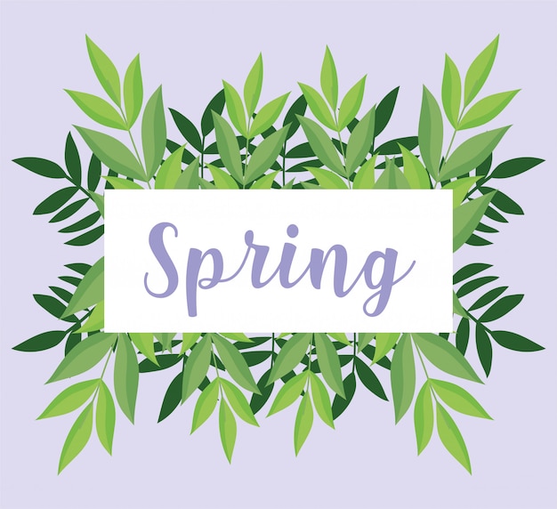 Vector hello spring, lettering banner foliage leaves ornament decoration