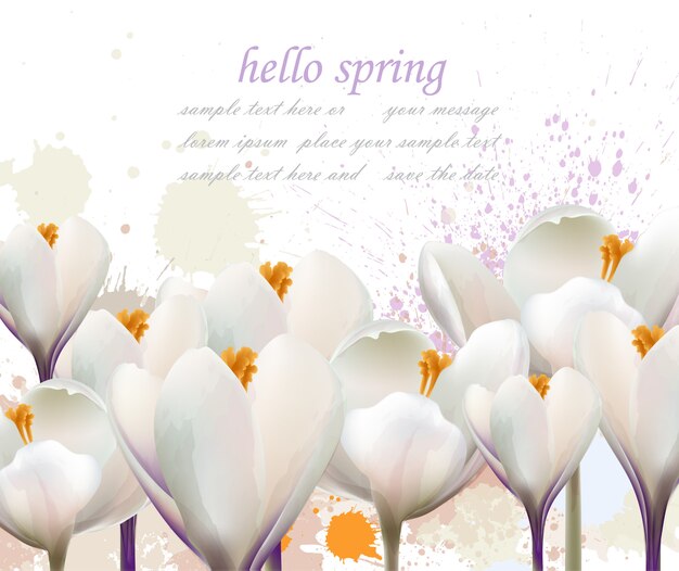 Hello spring watercolor flowers card