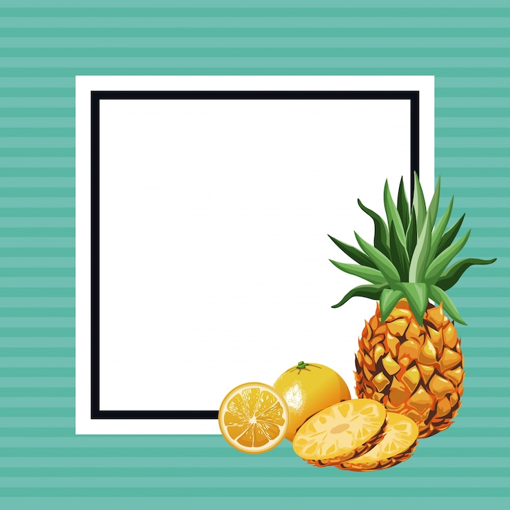 Vector hello summer fresh fruit template 