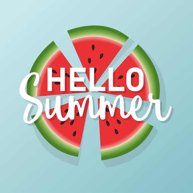 Vector hello summer inscription on a watermelon background vector illustration