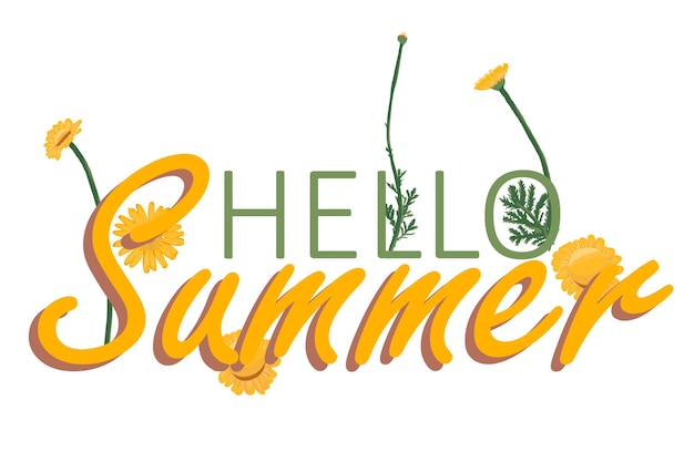 카모마일을 사용한 Hello Summer 텍스트 디자인 레터링