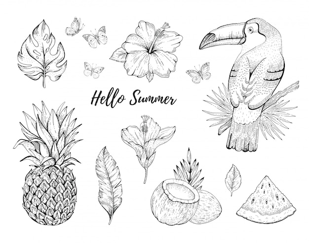 Hello summer tropic illustration set