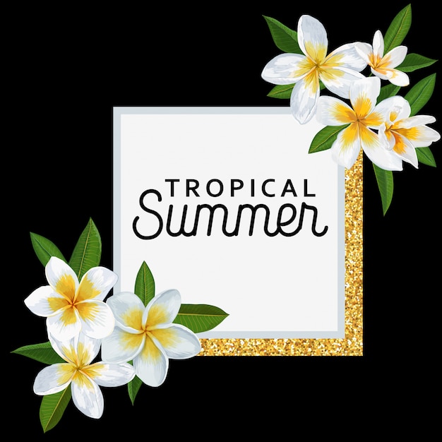 Vector hello summer tropical background