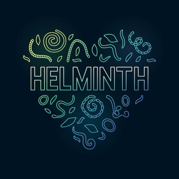 Helminth vector concept hartvormige kleurrijke banner Moderne illustratie