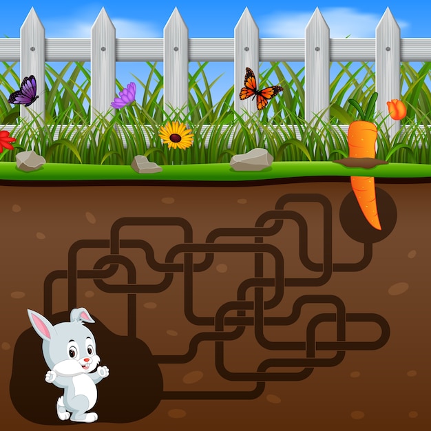 help the rabbit to find the carrot