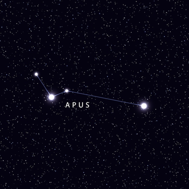 Hemelkaart met de naam van de sterren en sterrenbeelden. astronomisch symbool sterrenbeeld apus