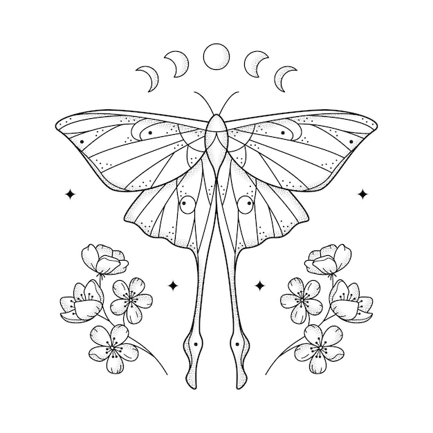 Hemelse korrelige lijn geometrische luna mot met maanstanden en bloemen Mystieke geometrie vlinder met bloemstuk