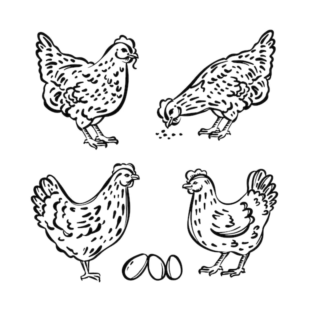 Hen chick schetsen en eieren monochroom vectorillustratie