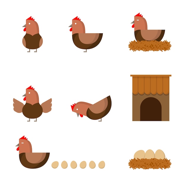 Hen chicken action story