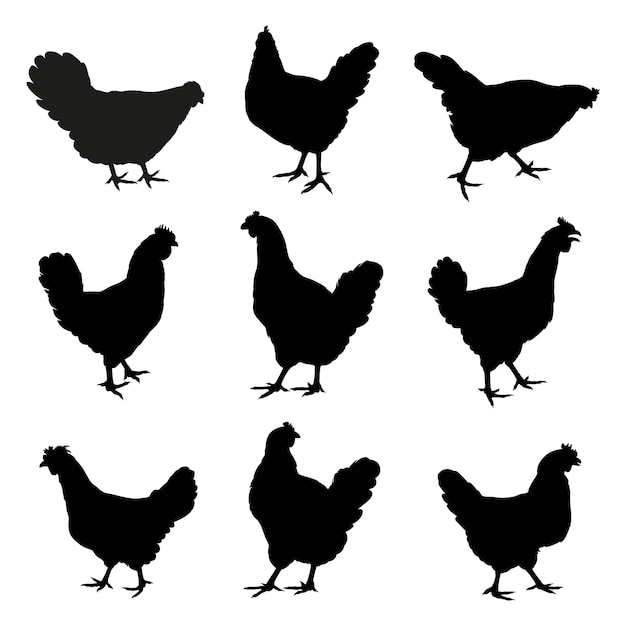 Vector hen chicken silhouette chicken silhouettes walking eating