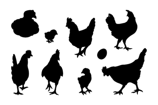 Vector hen or chicken silhouette set isolated in white background free grazing hen bird in the runch