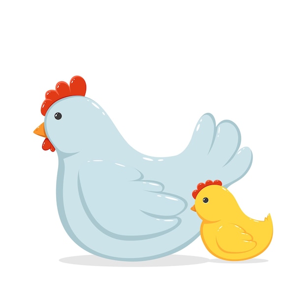 Hen and Chicken on White Background