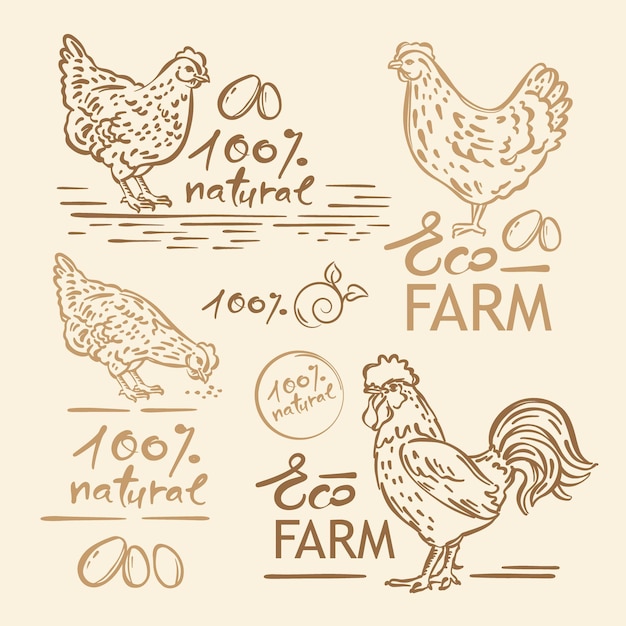 Hen cock fattoria disegnata a mano sketch lettering vector logo set