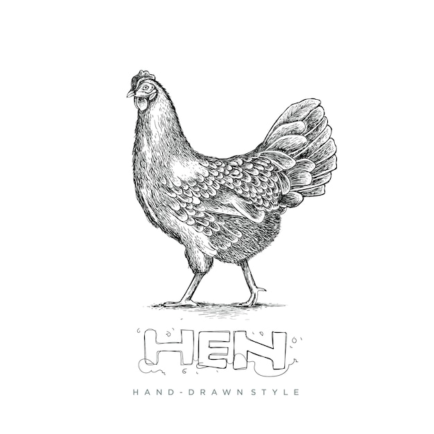 hen hand drawn style, animal illustration looks realistic, black and white abstract