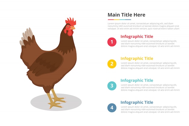 Vector hen infographics template