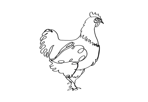 Vector hen line drawing chicken style continuous line art vector illustration