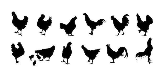 Vector hen and rooster silhouette vector