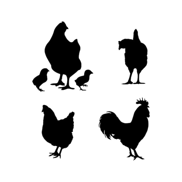 Vector hen silhouette set