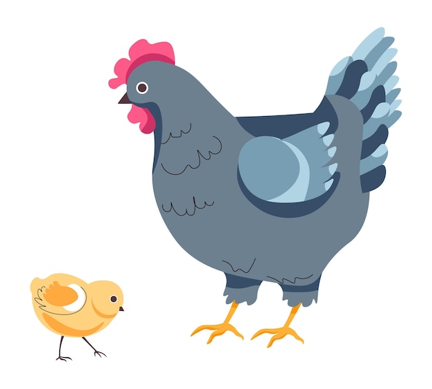 農場で繁殖する鶏と小さなひよこ鶏