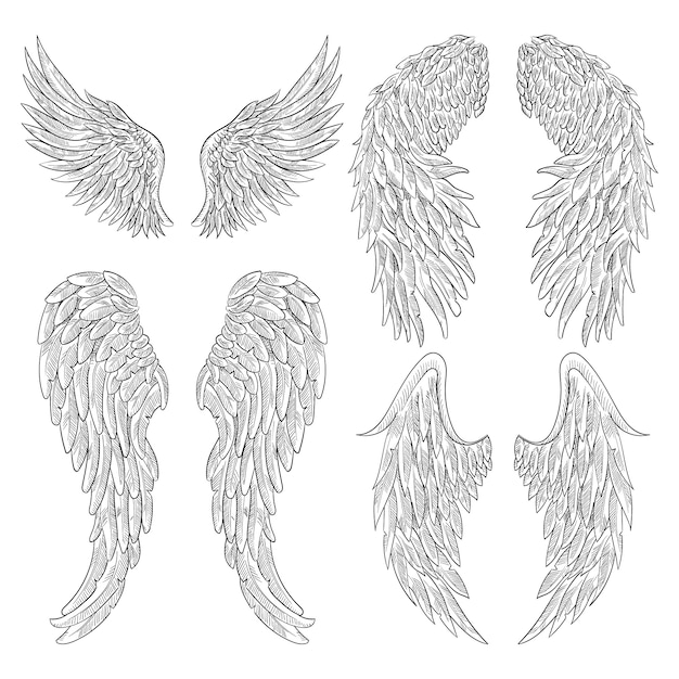 Vector heraldic wings set for tattoo design.