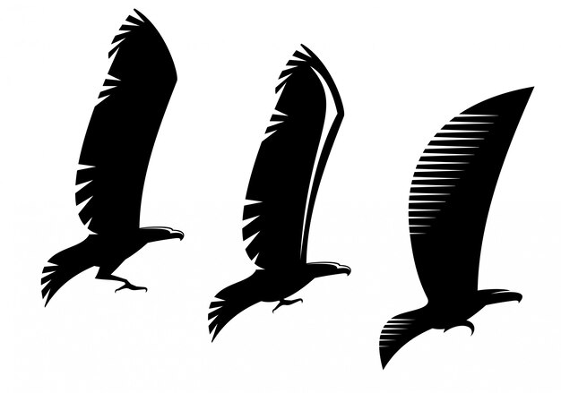 Simboli e tatuaggio dell'aquila dell'araldica isolati su bianco