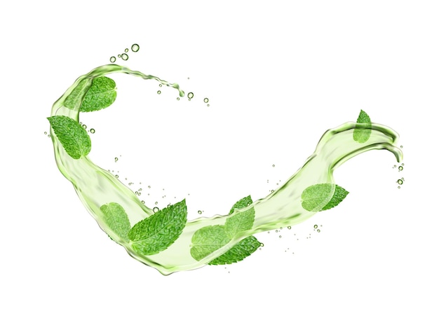 Vector herbal drink wave splash with mint leaves water