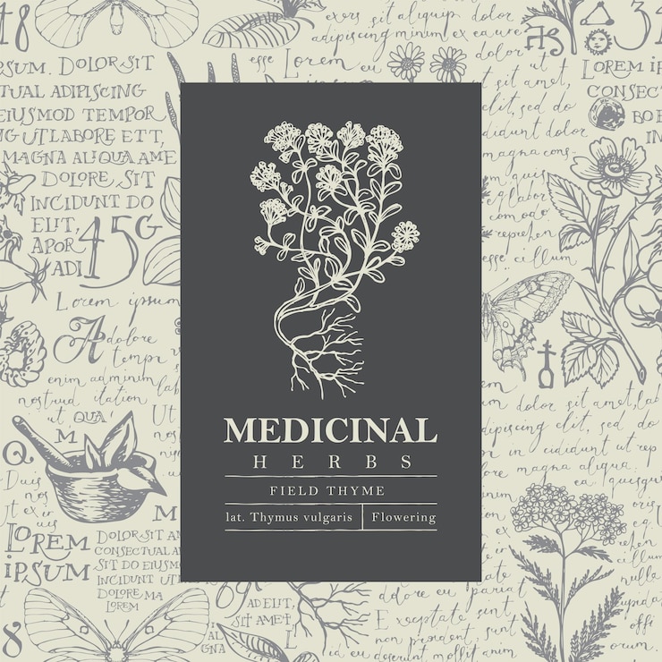 Vector herbal drug pharmacy banner