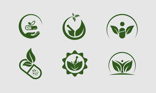 Herbal leaf logo vector template