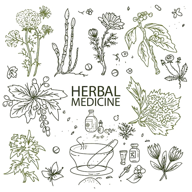 Herbal medicine doodle